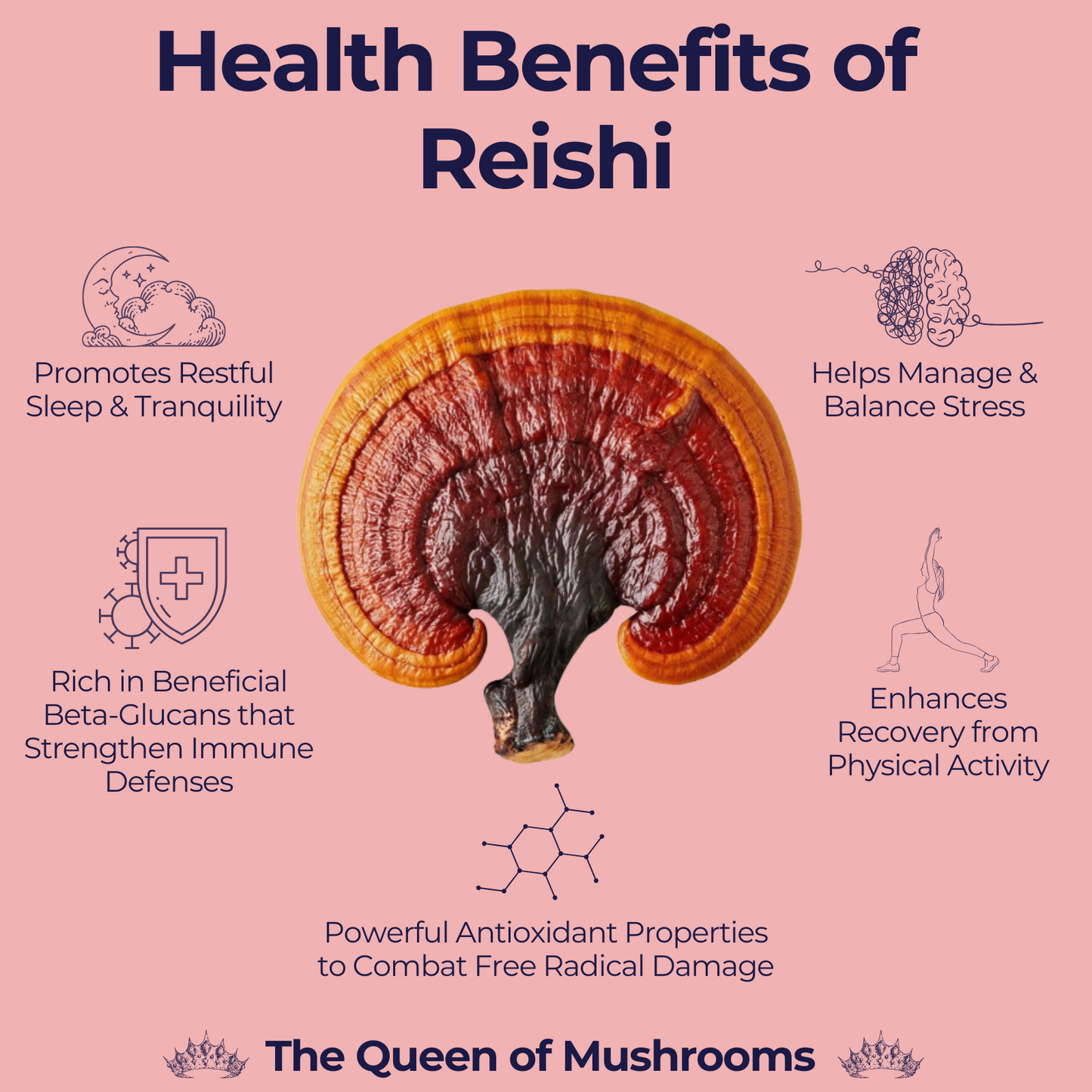 Gut Health Essentials