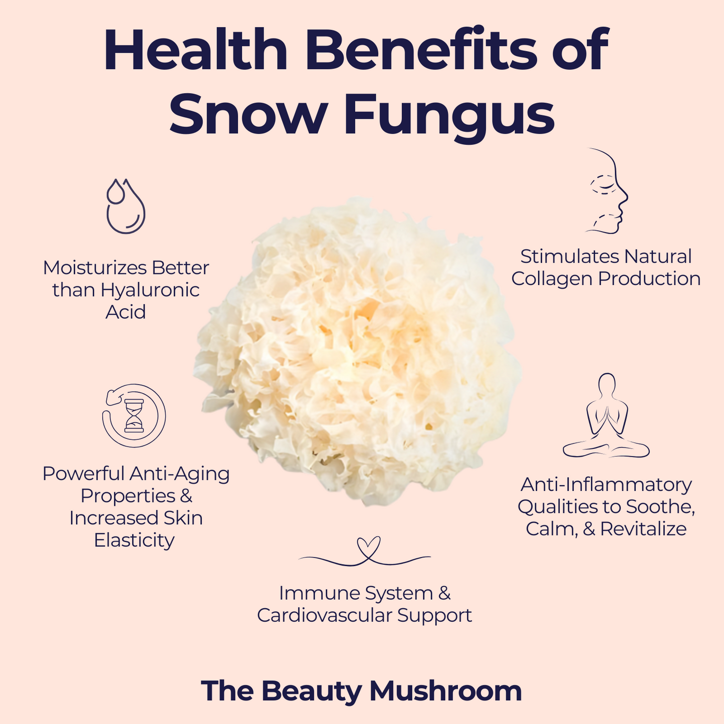 Athlete's Performance & Recovery Stack