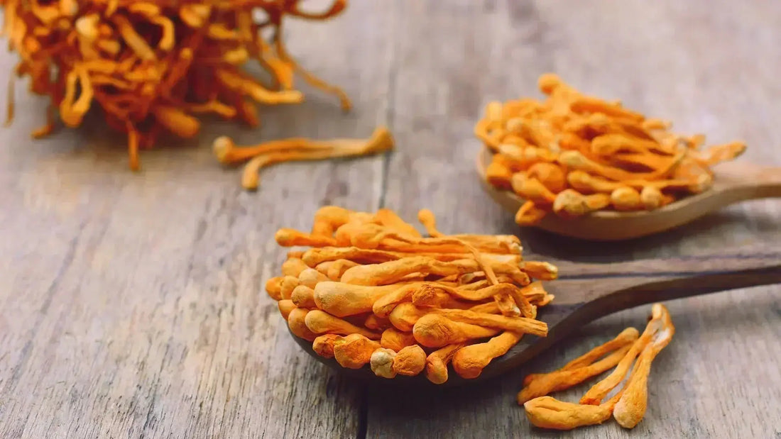 Buy Cordyceps Online: Your Ultimate Guide to Finding High-Quality Supplements Mógū