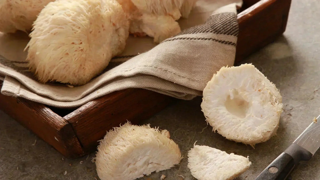Where to Buy Lion's Mane Mushroom Extract: A Comprehensive Guide Mógū