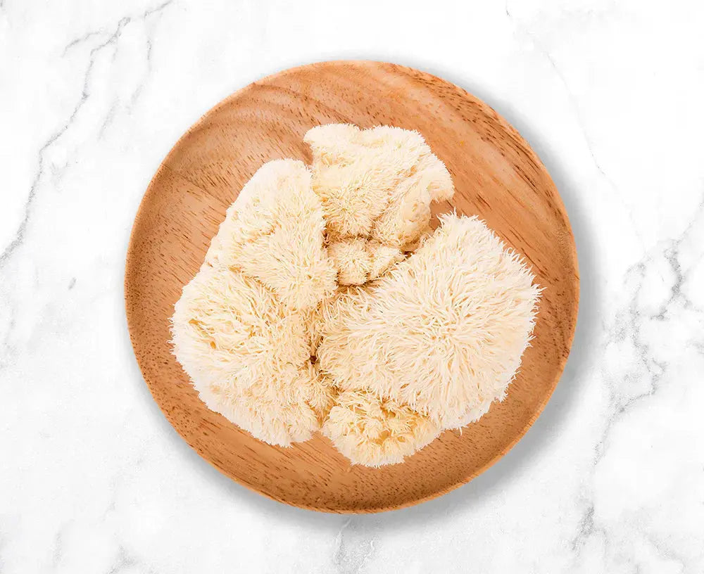 Lion's Mane Mushroom Near You? We Deliver Nationwide! Mógū
