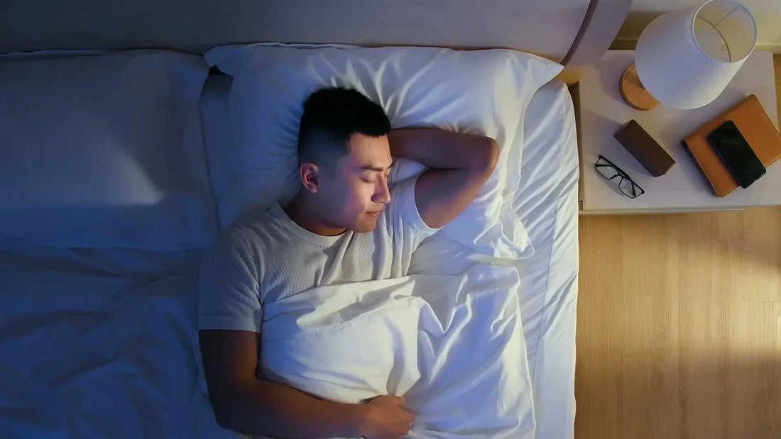 Reishi for Sleep: Understanding the Science Mógū
