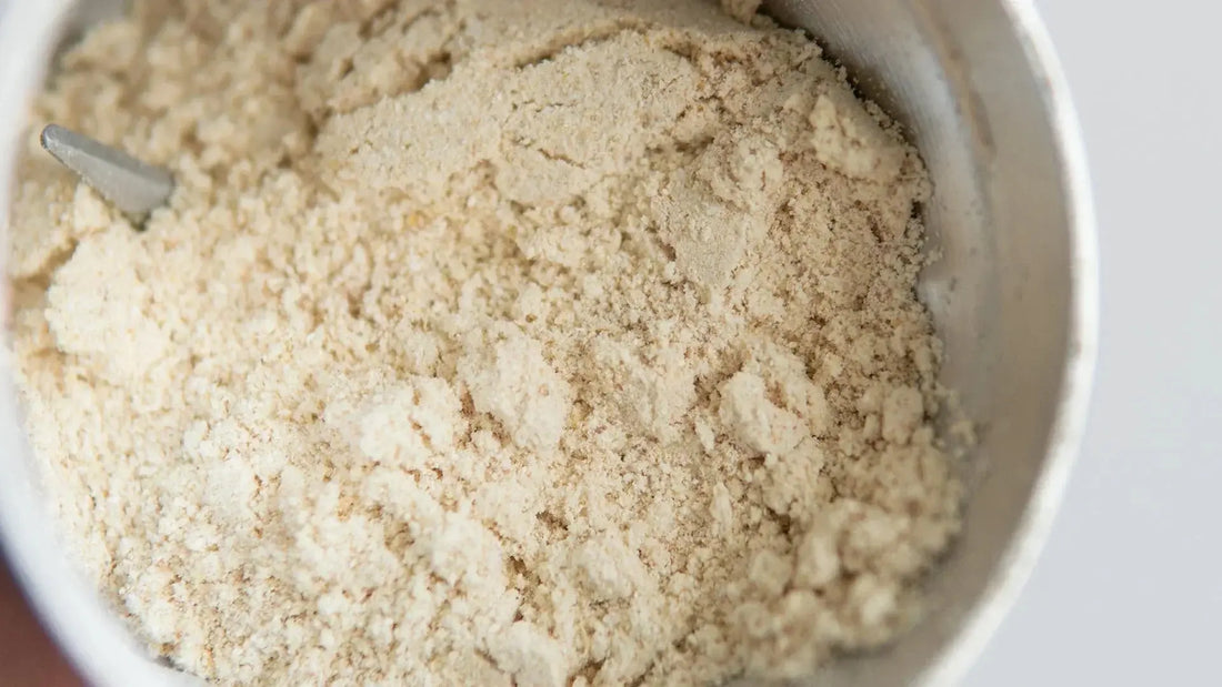 The Ultimate Guide to Lion's Mane Mushroom Powder Mógū