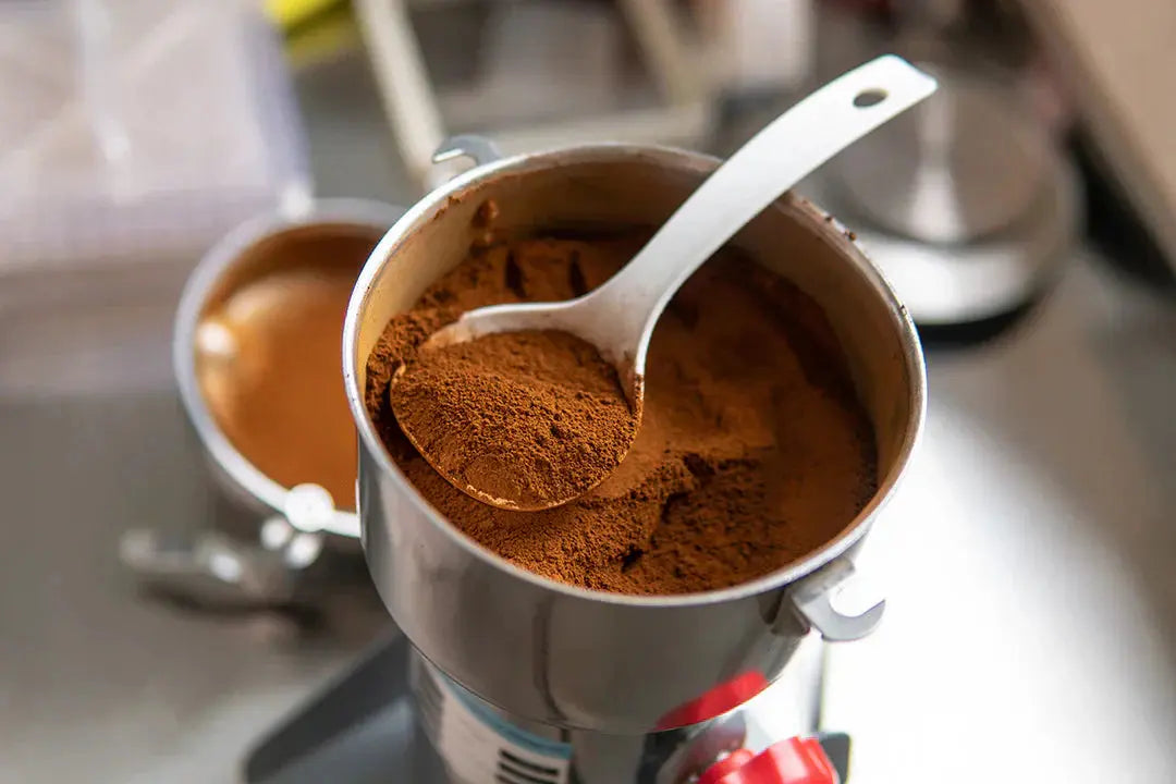 Mushroom Extract vs Powder: Which is Right for You? Mógū