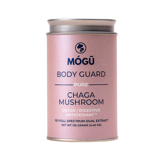 Organic Chaga Mogu Mushrooms