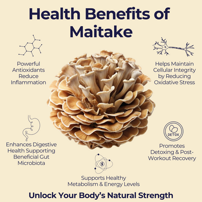 Athlete's Performance & Recovery Stack