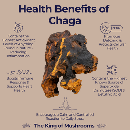 Athlete's Performance & Recovery Stack