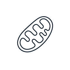 Cordycepin (3'-deoxyadenosine)