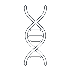 Melanin complex & beta-glucans