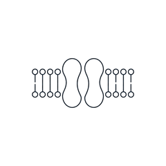 Triterpenoids (ganoderic acids)