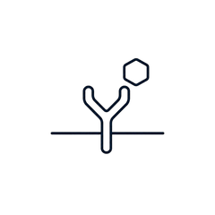 Beta D-glucan polysaccharide