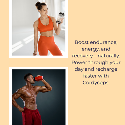 Athlete's Performance & Recovery Stack