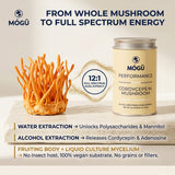 Organic Cordyceps militaris