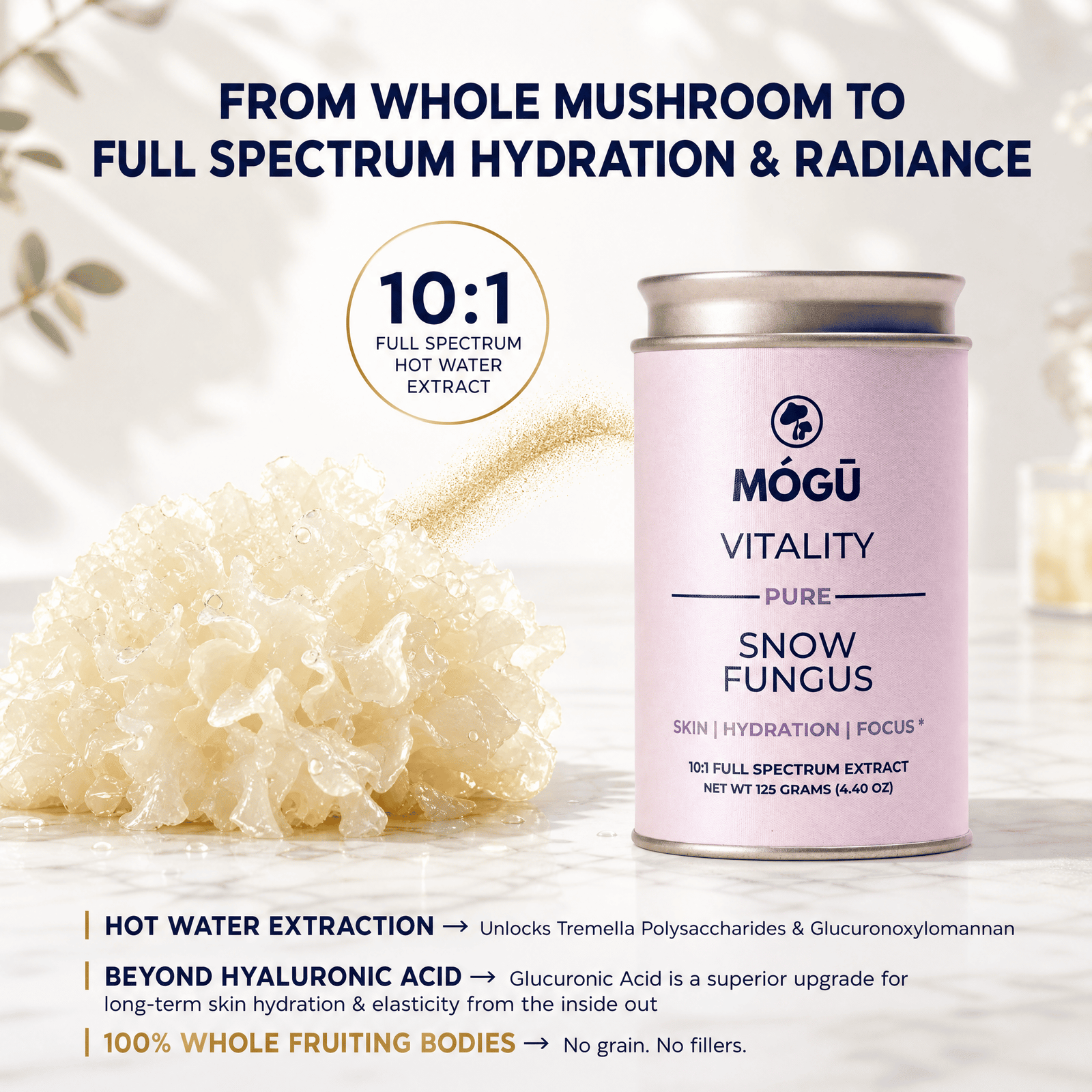Organic Snow Fungus