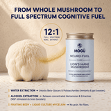 Organic Lion's Mane