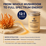Organic Cordyceps militaris