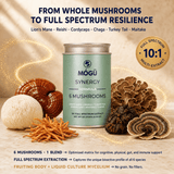 Organic 6-Mushroom Formula