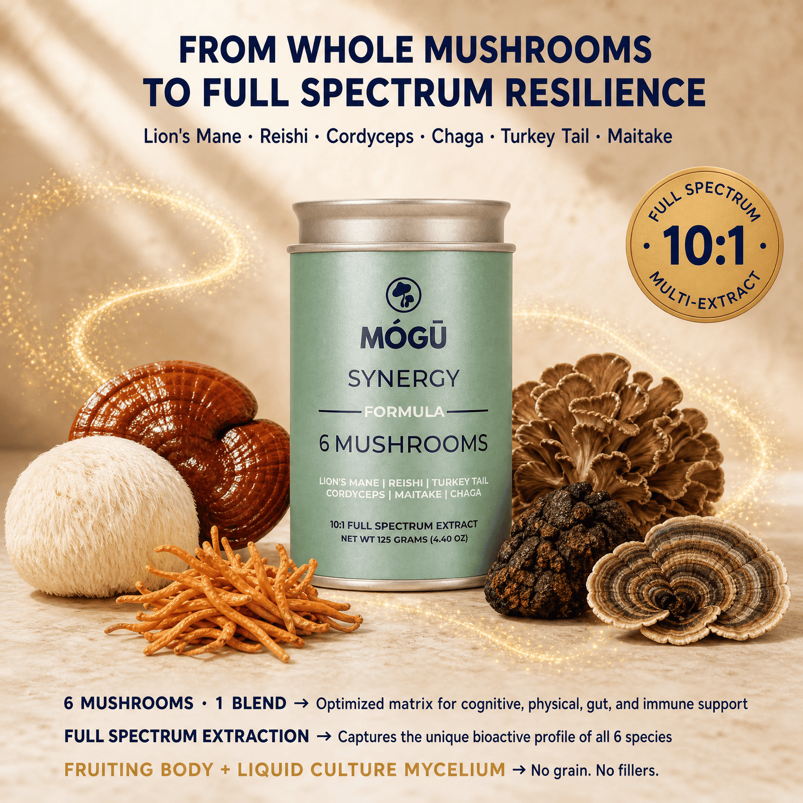 Organic 6-Mushroom Formula