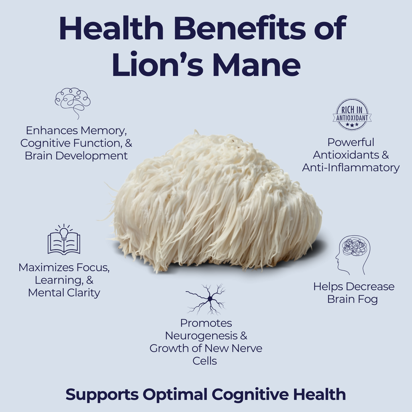 Athlete's Performance & Recovery Stack