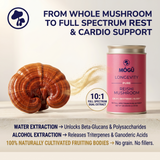 Organic Reishi