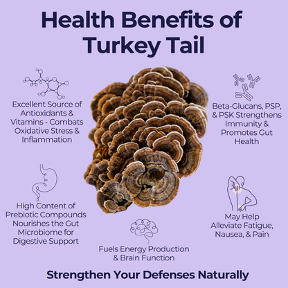 Athlete's Performance & Recovery Stack