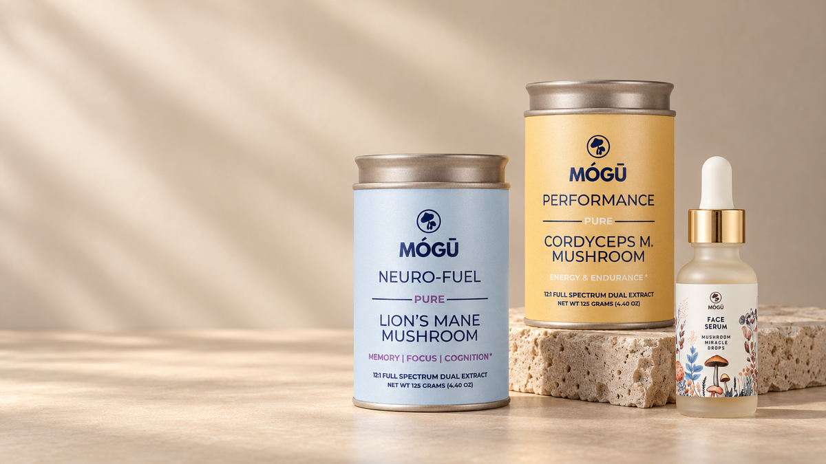 Mógū Mushrooms banner
