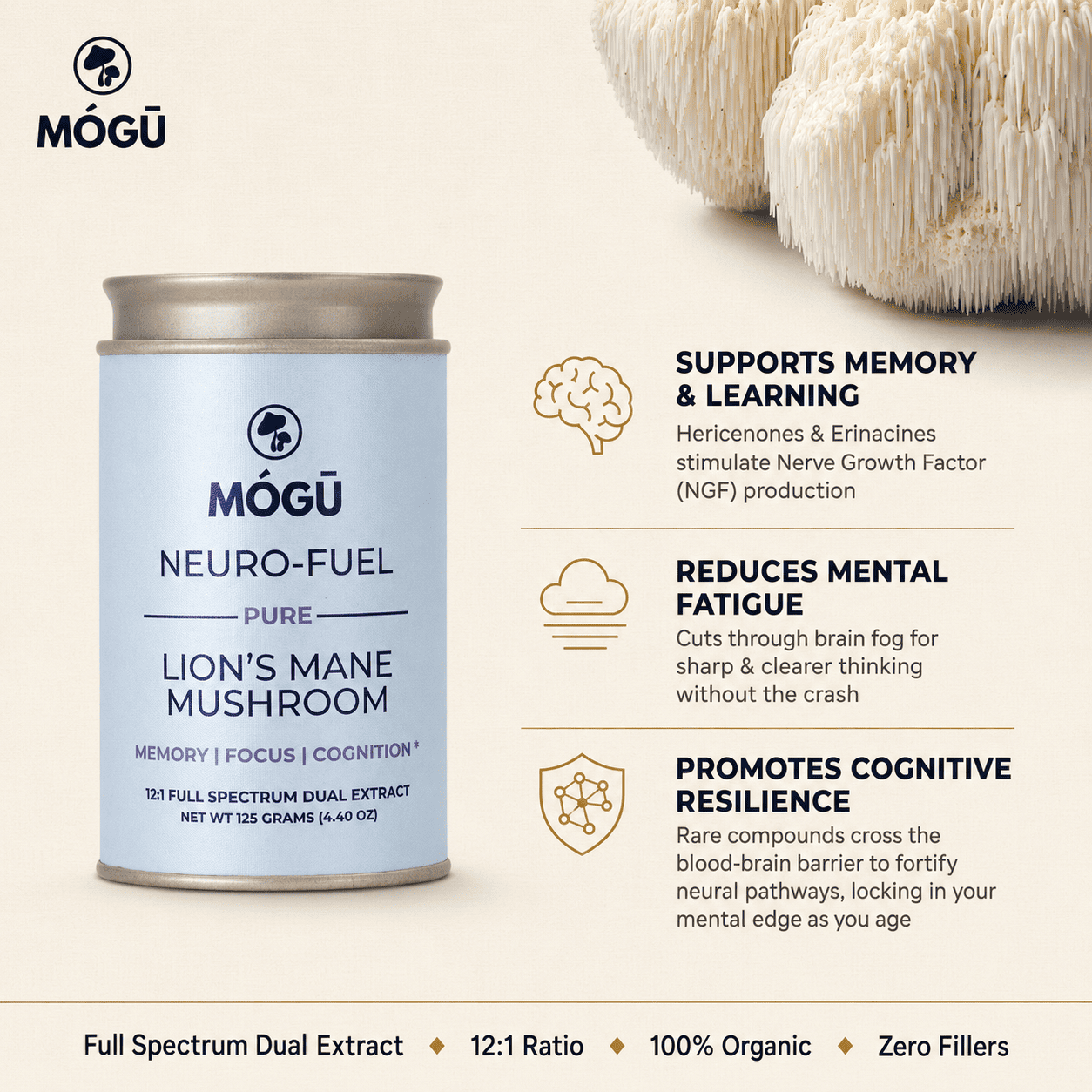 Organic Lion's Mane