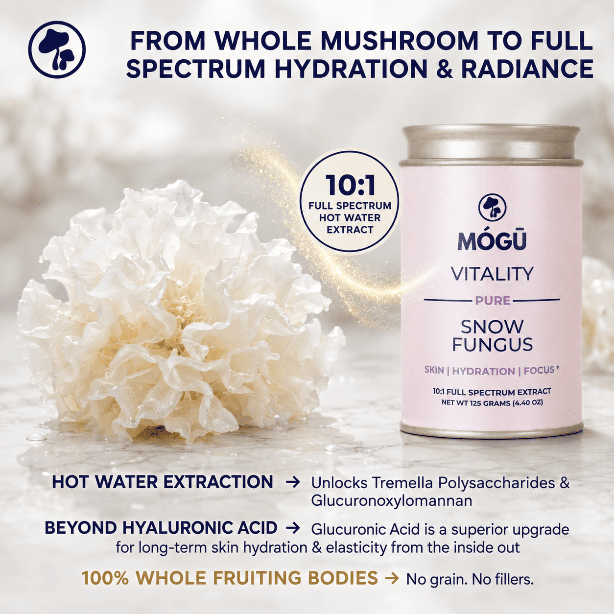 Organic Snow Fungus